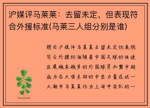 沪媒评马莱莱：去留未定，但表现符合外援标准(马莱三人组分别是谁)