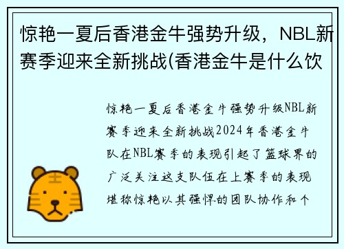惊艳一夏后香港金牛强势升级,NBL新赛季迎来全新挑战(香港金牛是什么饮料)
